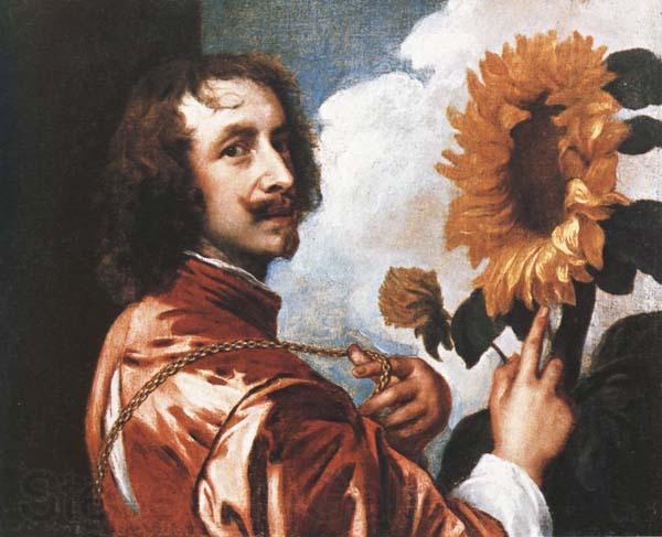Anthony Van Dyck Self-Portrait with a Sunflower France oil painting art